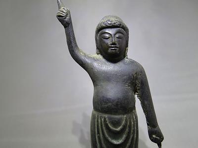 新たな生命の誕生・奇跡のコース